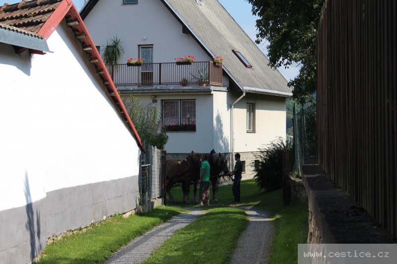mainimage