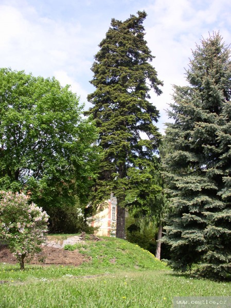 mainimage