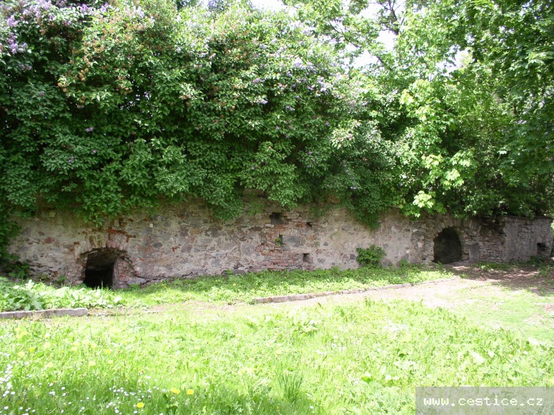 mainimage