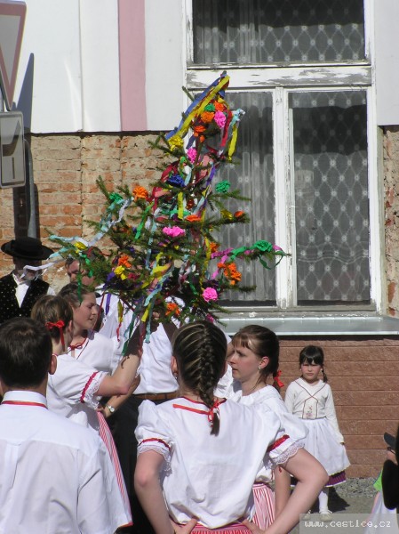 mainimage