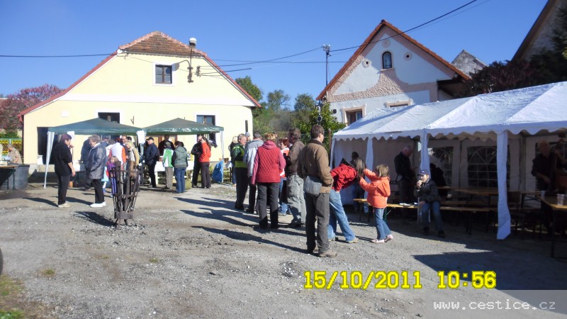 mainimage