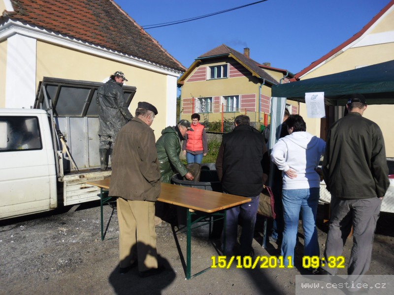 mainimage